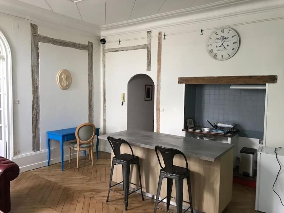 Nid Douillet Bord De Loire Apartment Блоа Екстериор снимка