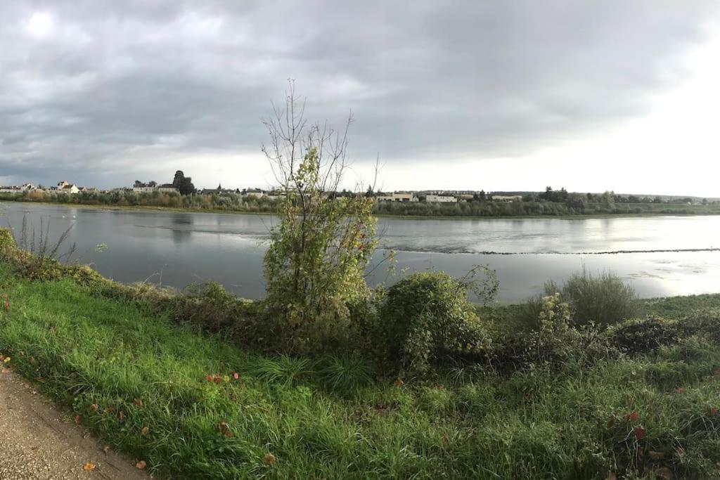 Nid Douillet Bord De Loire Apartment Блоа Екстериор снимка